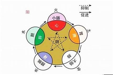 姿五行|姿字的五行属性